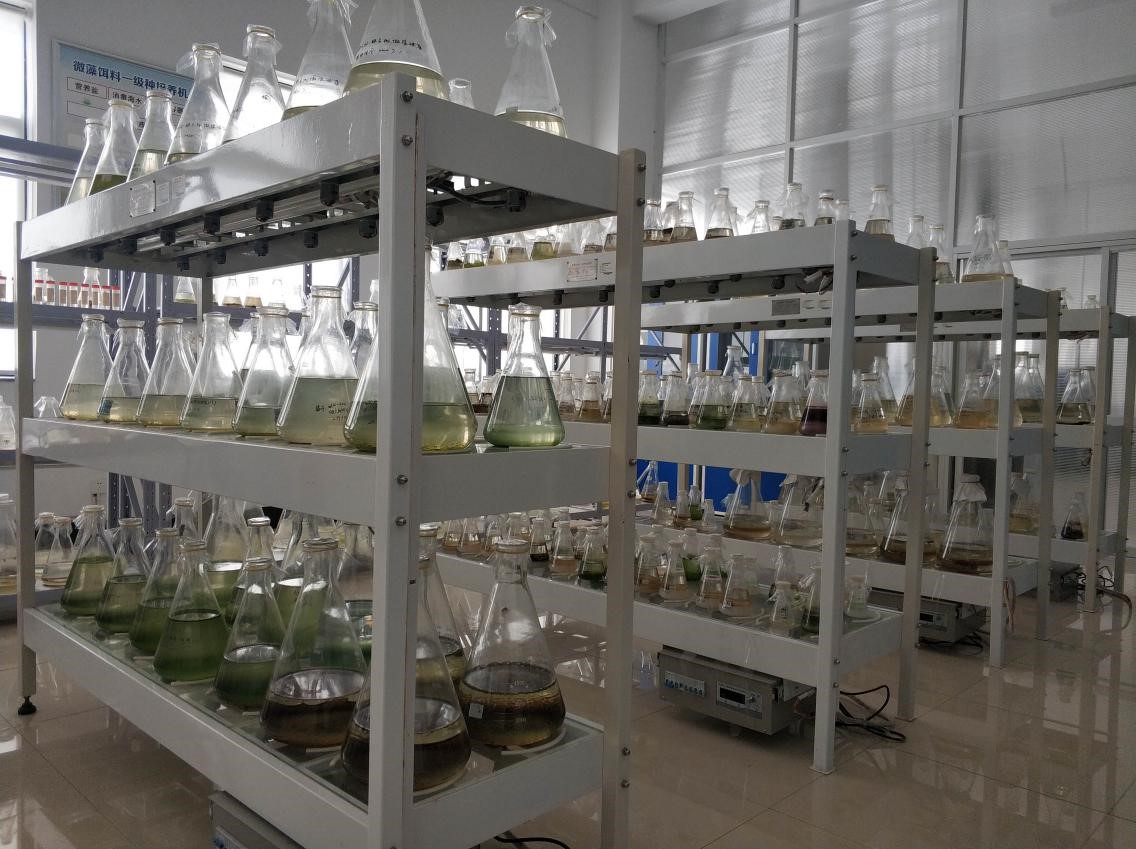 山東省海洋經(jīng)濟(jì)藻類資源開發(fā)與利用工程技術(shù)協(xié)同創(chuàng)新中心