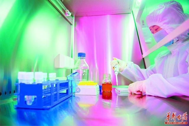 科技創新促產業轉型 生物科技研究開發的戰略意義與實踐路徑